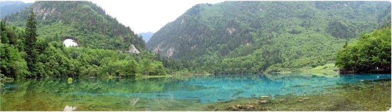 여름의 오화해 전경