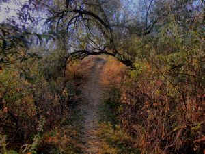 Râpele de la Cimișlia}}), 몰도바 공화국의 자연 유산