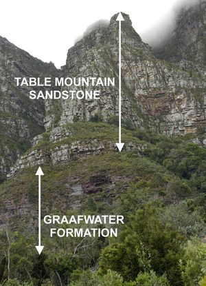 케이프타운 대학교 위, 뉴랜드 숲에서 바라본 테이블 마운틴과 데블스 피크의 동쪽 절벽(또는 절벽)의 모습. 케이프반도에 있는 테이블 마운틴 군의 두 층, 즉 Graafwater 층과 테이블 마운틴 사암 또는 반도 층을 쉽게 구별할 수 있다. 나머지 층인 Pakhuis 층은 사진에서 보이지 않는 맥클리어 비콘의 테이블 마운틴 꼭대기에 작은 잔해로 존재한다. 테이블 마운틴 군이 케이프반도에 놓여 있는 화강암 기반암은 전경의 숲에 가려져 있다.