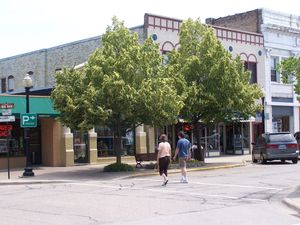 크리스털레이크 시내의 우드스톡 거리와 윌리엄스 거리