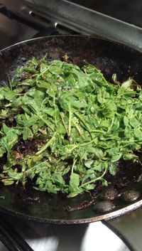 조리된 살갈퀴 (Vicia sativa)