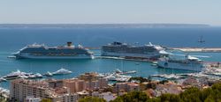 팔마 항구의 크루즈 선박