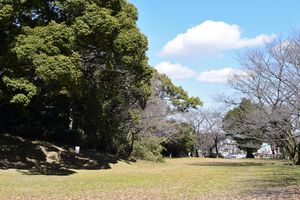 다이고조(大高城) 본마루 터