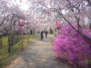 たけべの森公園(타케베노모리 공원)