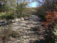 토리이가와(鳥居川) 상류