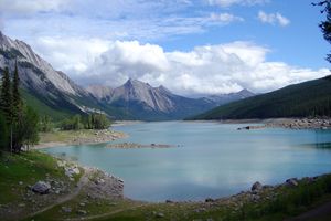 캐나다 알버타주에서 볼 수 있는 수목한계선