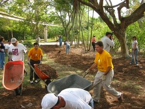미국에서의 동물원 자원봉사