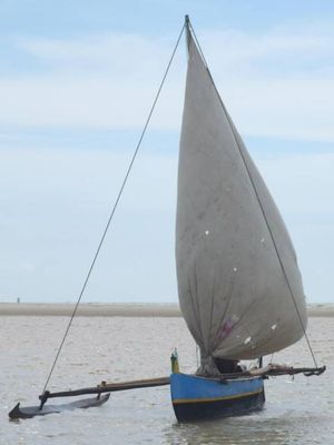 마다가스카르 섬의 아웃리거 단동체 범선 카누.