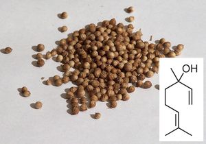 코리안더(고수)의 종자에는 리날로올이 포함된다