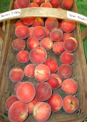 바구니에 담긴 복숭아