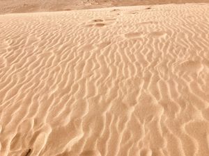 돗토리사구의 물결모양 모래