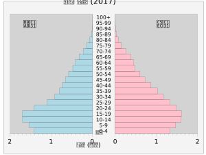네팔의 인구 피라미드