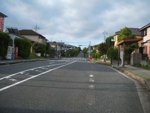 기카와 지역 내 뉴타운(미나기다이)