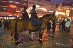 기마경찰(핀란드)