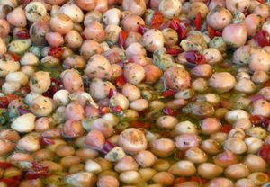 올리브 오일에 절인 풍선꽃 Leopoldia comosa의 구근