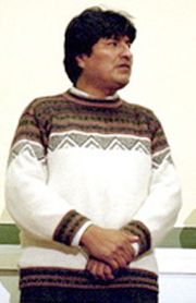 알파카(Alpaca) 스웨터