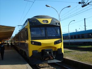 TerraSur(테라수르)