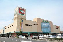 알・플라자 야스