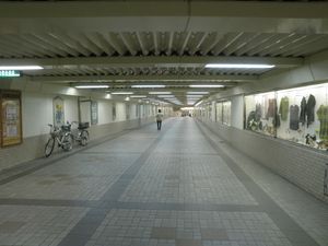 신테쓰의 구 철로 터널