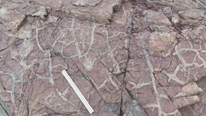 선명한 건열 구조