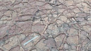 규모가 큰 건열구조로 쪼개진 빈틈을 채운 사질 부분이 풍화에 강해 마치 와플 과자와 같이 위로 돌출되어 있다.