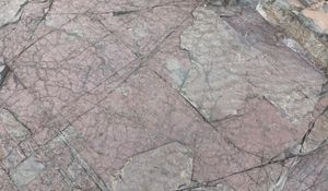 연흔과 건열이 동시에 나타난다.