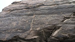 대구광역시 신암동 공사현장의 함안층