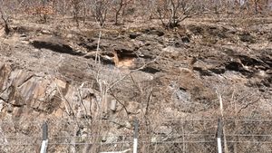 삼자현로 도로변 노두