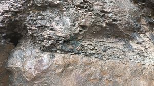 왼쪽 노두의 근경