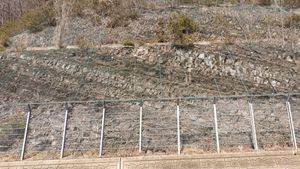 삼자현로 도로변 노두. 북동쪽으로 경사한다.