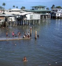 코키 지역의 해안부