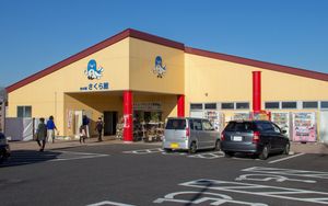 하늘의 역 사쿠라칸