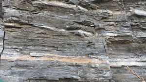 계양동 계양로 도로변의 노두