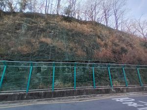 경산동부초등학교 근처 원효로28길 도로 절개사면의 노두경상북도 경산시 계양동 산 14-10