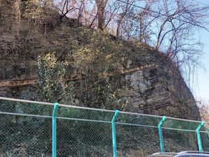 초원전원아파트 뒤쪽 장산로50길 도로변 노두경상북도 경산시 계양동 602-9