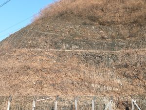 솔숲길18길 도로변 노두경상북도 경산시 평산동 776