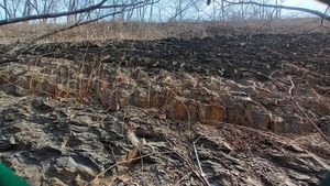 미래로 도로변 노두경상북도 경산시 평산동 산 8-2/산 16