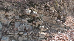 송백저수지 북쪽의 노두. 남남서측으로 약간 기울어 있다.경상북도 경산시 남천면 신방리 산 89-1