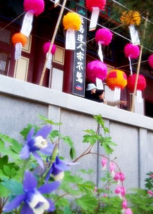 범어사 경내 연등