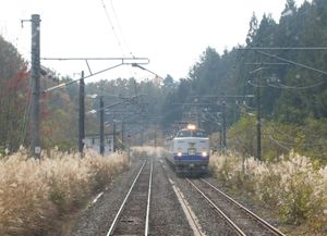 구내 모습 (2011년 11월)