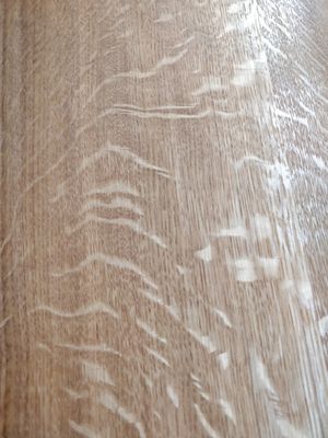 참고: 참나무류에 종종 나타나는 호랑이 무늬(니스 칠)