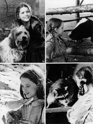 NBC TV 드라마 《대초원의 작은 집》에서 로라를 연기한 멜리사 길버트(1975년). 이 드라마는 로라의 소설을 세계적인 인기 작품으로 만드는 계기가 되었다.