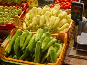 진열된 헝가리고추