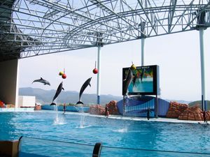 시라하마 어드벤처 월드 테마파크