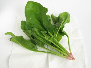 녹색 채소의 한 예 (시금치)