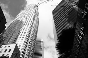 사우스 홉 스트리트에서 바라본 모습