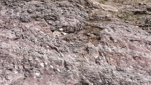 용산면 율리 국도 제19호선 도로변