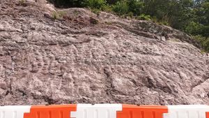 용산면 율리 국도 제19호선 도로변