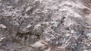 영동읍 설계리 국도 제19호선 도로변