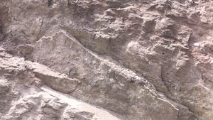 영동읍 설계리 국도 제19호선 도로변